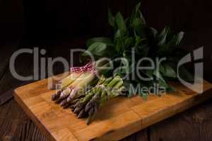 Asparagus bundle