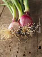 Organic spring onions on wood
