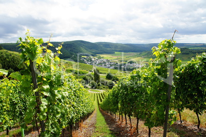 Veldenz in einem Seitental der Mosel