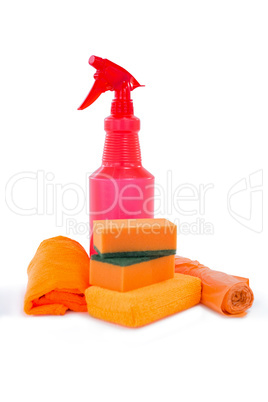 Spray bottle with napkins and sponges