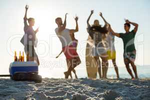 Friends dancing on shore at beach