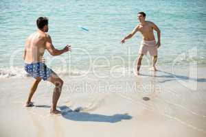 Male friends playing frisbee on shore at beach