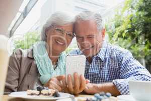 Senior couple using mobile phone