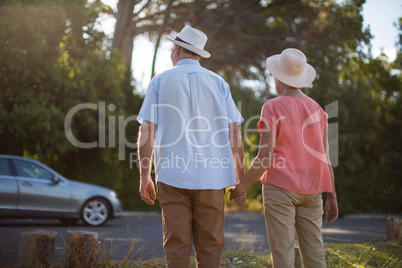 Senior couple holding hands at roadside