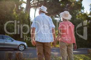 Senior couple holding hands at roadside