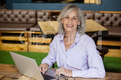 Portrait of senior woman using laptop computer