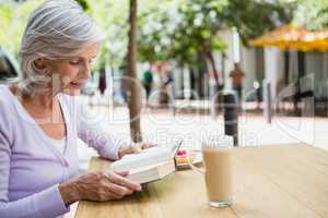 Senior woman reading a book