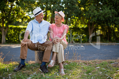 Smiling senior couple sitting on rock