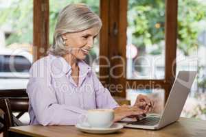 Cheerful senior woman using laptop computer