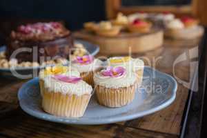 Close up of cupcakes served in plate