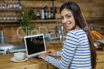 Portrait of woman using laptop at counter
