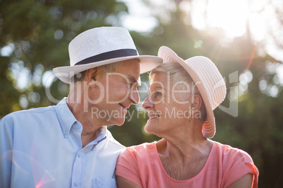 Senior couple looking at each other on sunny day