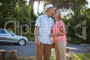 Senior couple romancing at roadside