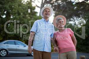 Senior couple standing at roadside