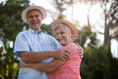 Portrait of cheerful senior couple