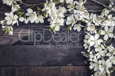 Branches blossoming almonds on a brown wooden surface