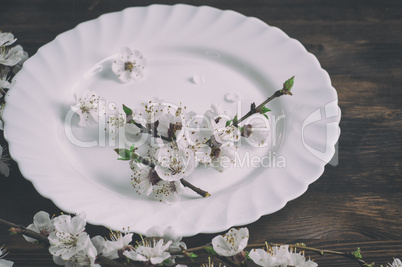 Empty dish with cherry blossom