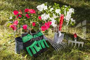 gärtnern, gardening