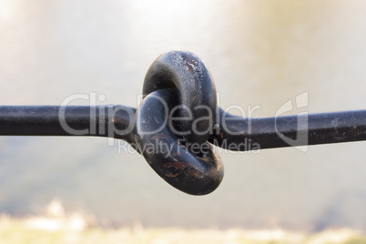 Metal kroton knot mini sculpture in Uzhgorod photo