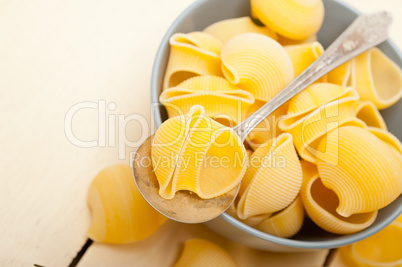 Italian snail lumaconi pasta