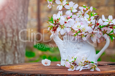 White vase with a bouquet of branches of flowering almonds