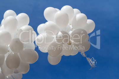 White balloons against the sky