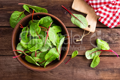 Fresh chard leaves