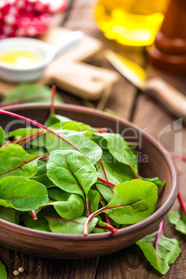 Fresh chard leaves