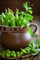 Fresh green peas on dark wooden rustic background