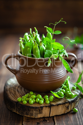 Fresh green peas on dark wooden rustic background