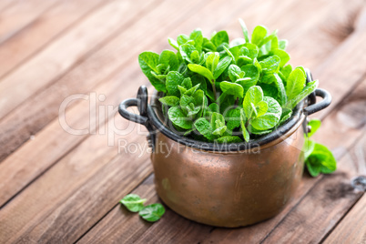 Fresh mint on wooden background