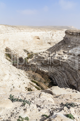 En Advat Nationalpark or Ein Advat, Negev, Israel