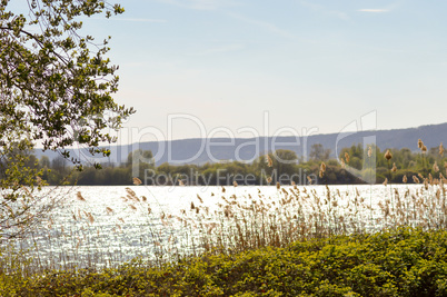 View of the lake of Madine