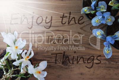 Sunny Crocus And Hyacinth, Quote Enjoy The Little Things