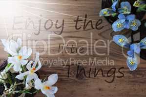 Sunny Crocus And Hyacinth, Quote Enjoy The Little Things