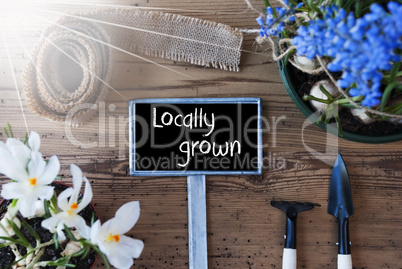 Sunny Spring Flowers, Sign, Text Locally Grown