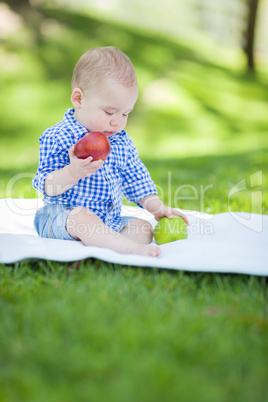 Mixed Race Infant Baby Boy Sitting on Blanket Comparing Apples t