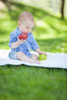 Mixed Race Infant Baby Boy Sitting on Blanket Comparing Apples t