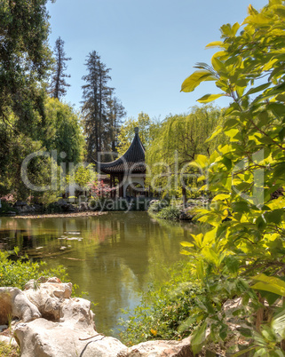 Chinese garden at the Huntington Botanical Gardens