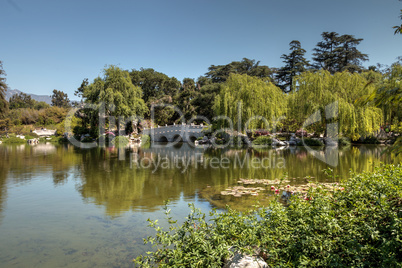 Chinese garden at the Huntington Botanical Gardens