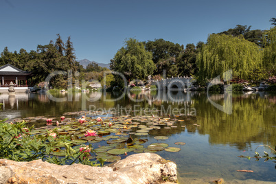 Chinese garden at the Huntington Botanical Gardens