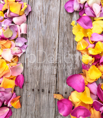 Rose petals in the colors of a sunset