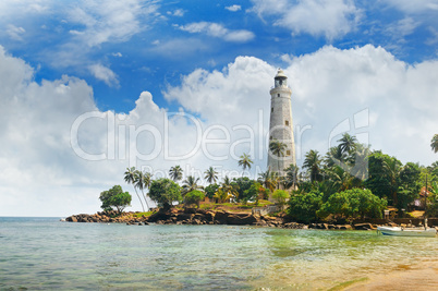 lighthouse, lagoon and tropical palms (Matara Sri Lanka)