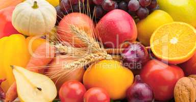 Bright background of a set of fruits and vegetables