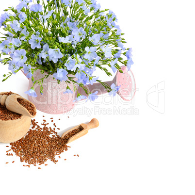 flax seeds and flowers isolated on white background