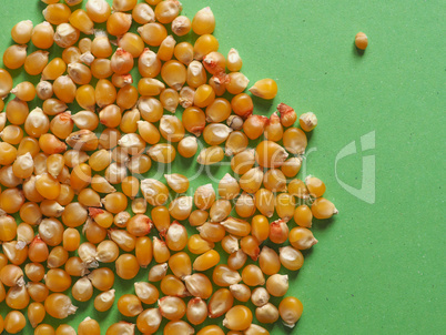 pop corn maize with copy space