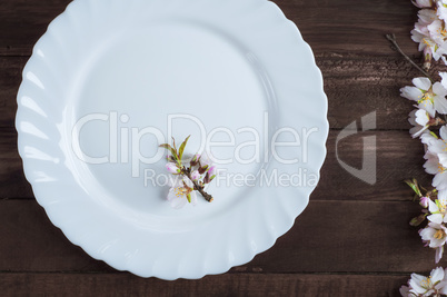White empty plate with a branch of flowering almond