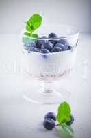 Yogurt with fresh blueberry and muesli