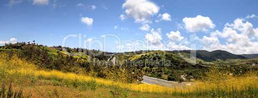 Aliso Viejo Wilderness Park view