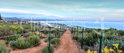 Hiking trail above Dana Point city view at sunset